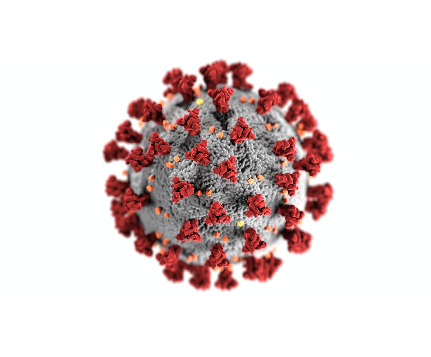 virus-disinfection.png
